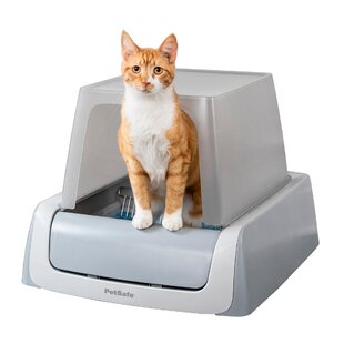 Odourless cat 2024 litter box